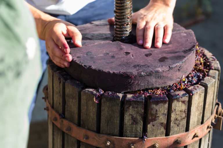 Winepress with red must and helical screw. Traditional old technique of wine making. Filtering grape must