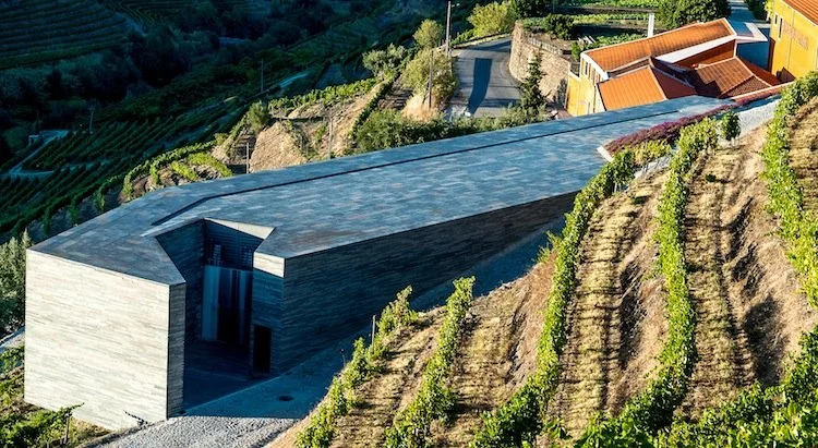 adega02_2095696800532606a8ee7b9_1